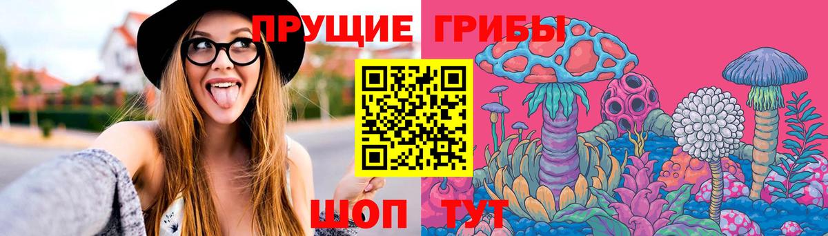 Псилоцибиновые грибы GOLDEN TEACHER Красноуфимск